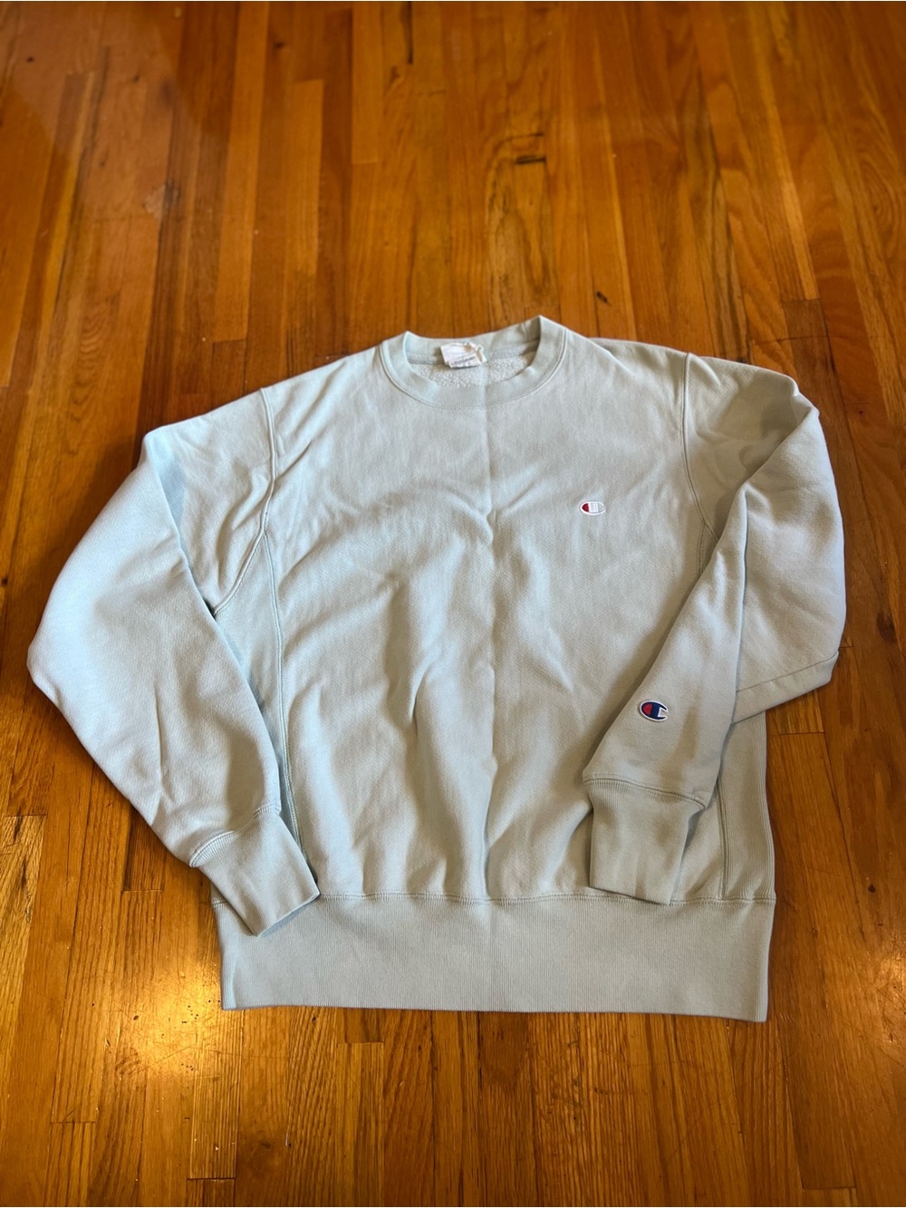 Champion Reverse Weave Crewneck Sweatshirt – Light Sage Green / Mint – Size S
